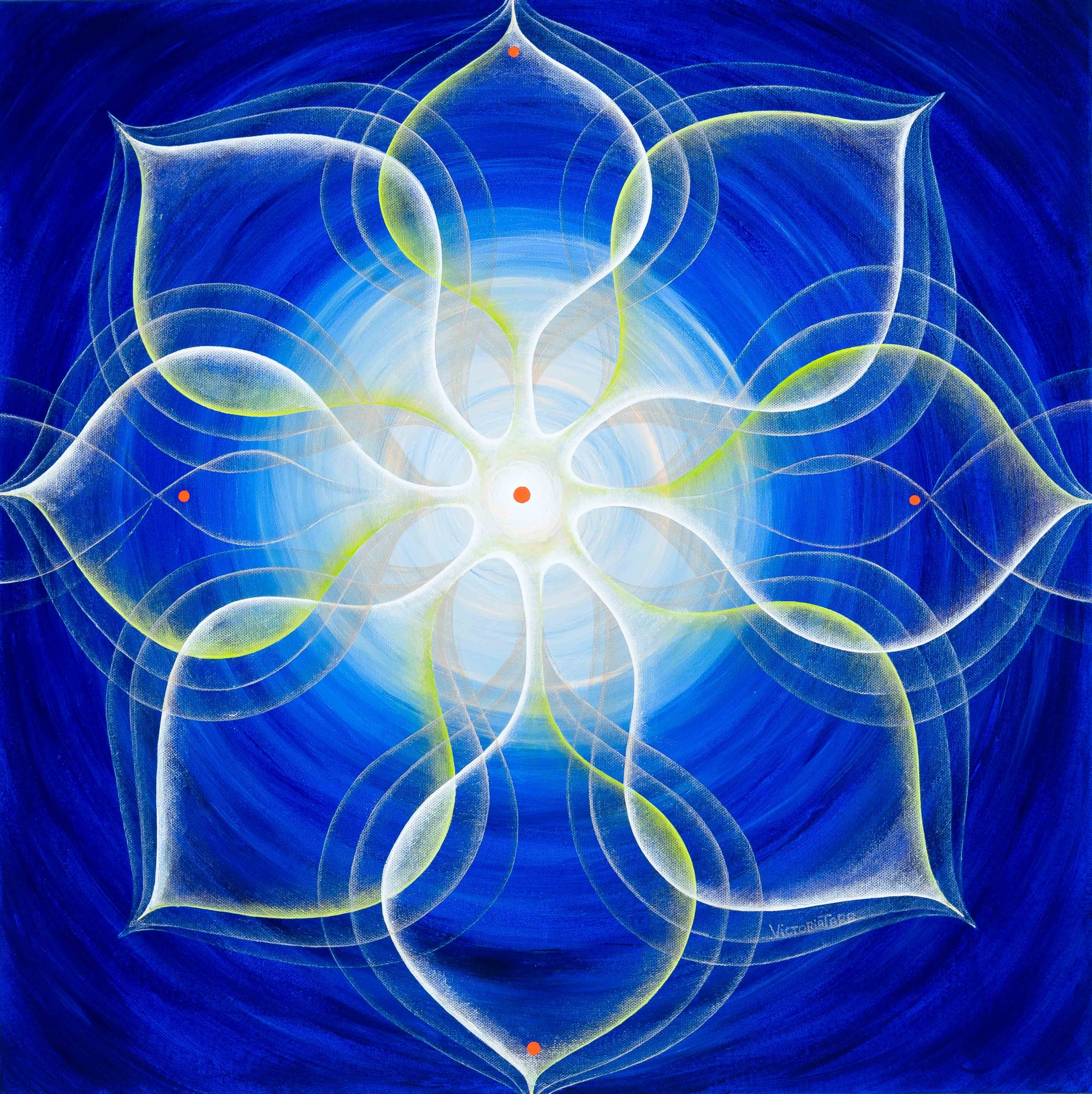 SEED OF LIGHT _web